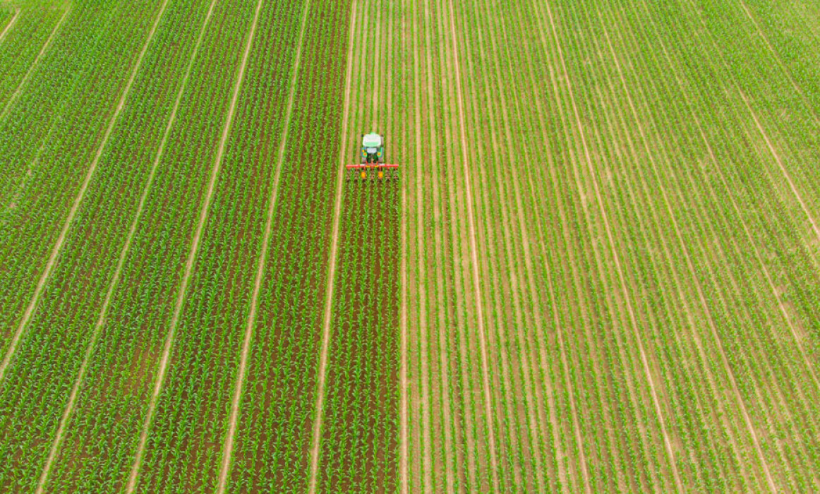 extensive farming vs intensive farming