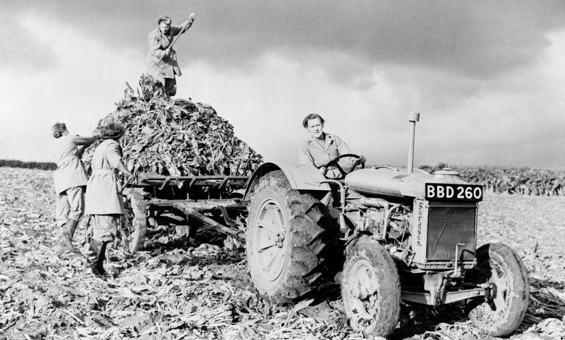 History and Historical Development of Tractor