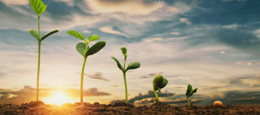 Regenerative Agriculture